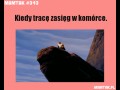 Zasieg