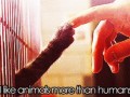 Like animals