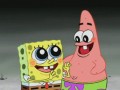 Sponge bob