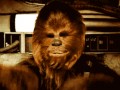 Wookie