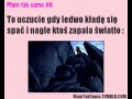 Mam tak samo  1