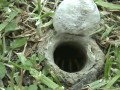 Scary shit