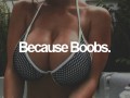 Boobies