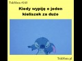 O jeden za dużo