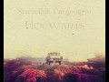 Screw this going to hogwarts