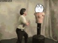 Funny cat d