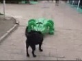 Run bijacz