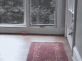 Mocne wejście