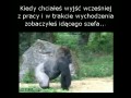 Wyjść wcześniej z pracy