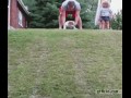 Psi zjazd