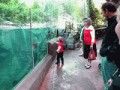 Z wydrą w zoo