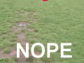 Nope
