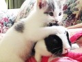 Cute
