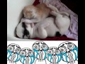 Aww