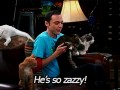 Sheldon