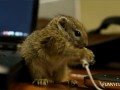 Om nom nom