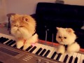 Party hard