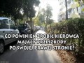 Cwaniak w samochodzie musi uznać wyższość cwaniaka na rowerze