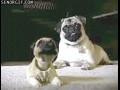 Bounce