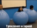 Tymczasem w japonii