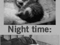 My life