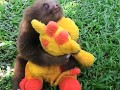 Hug