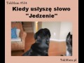 Jedzenie