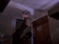 Dino