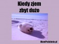 Kiedy zjem zbyt dużo