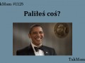 Paliłeś