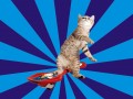 Kot waveboard