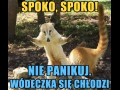 Spoko spoko