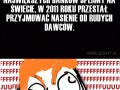 Fuuuuu