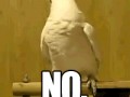 Nie