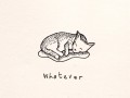Whatever
