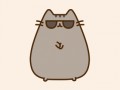 Gangam cat 3