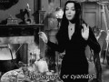 Morticia
