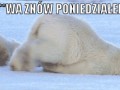 Poniedziałek 