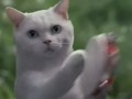 Song of my people
