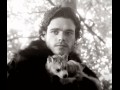 Robb stark
