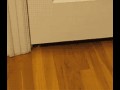 Fuck doors im cat