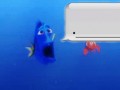 Dory