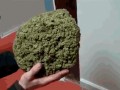 Magic ball