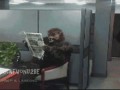 Nowy pracownik