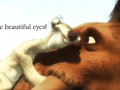 You have beautiful eyes