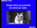 Mam tak