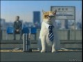 Businesscat