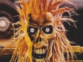 Iron maiden