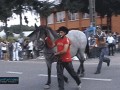 Konik
