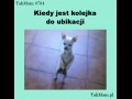 Kolejka